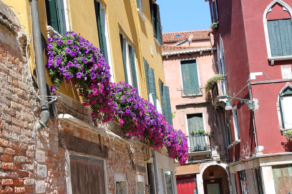 Calle Dei Preti Lejlighed *